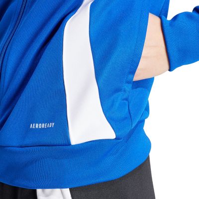 12. adidas Tiro 24 Training W Sweatshirt IR7494