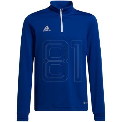 5. Adidas Entrada 22 Training Top Jr HG6290 Sweatshirt