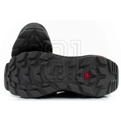9. Salomon Elixir GTX M 472957 shoes