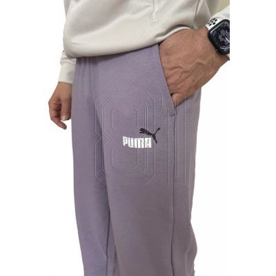 3. Puma Ess+ 2 Col Pants M 586768 29
