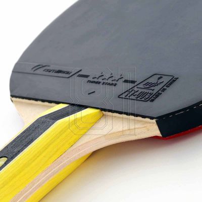 10. Cornilleau Sport 434000 Tischtennisschläger
