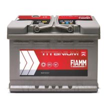 FIAMM TITANIUM PRO 790 Autobatterie
