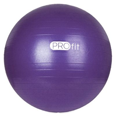 10. PROfit 55cm Gymnastikball mit Pumpe DK2102