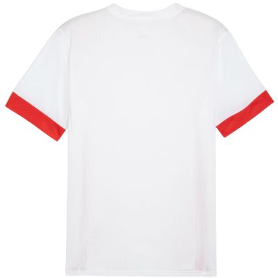 4. Puma teamGoal Spieltagstrikot M 705747 11