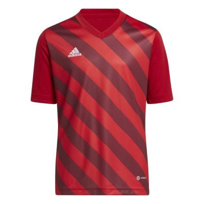 11. adidas Entrada 22 Graphic Jersey Jr H58983