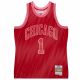 Mitchell & Ness NBA-Trikot Swingman Monochrome Chicago Bulls Derrick Rose - TFSM1280-CBU08DRSRED1