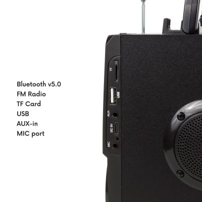 2. Audiocore tragbarer Bluetooth-Lautsprecher, FM-Radio, SD/MMC-Kartensteckplatz, AUX, USB, Fernbedienung, AC730