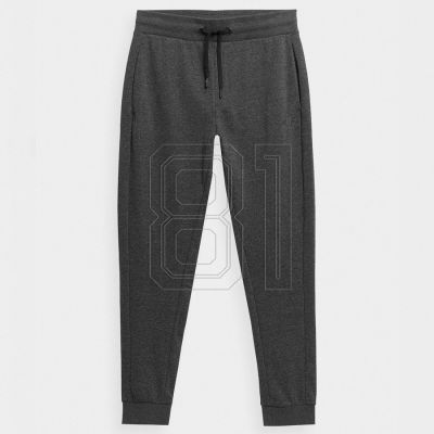 Trousers 4F M 4FSS23TTROM223 23M