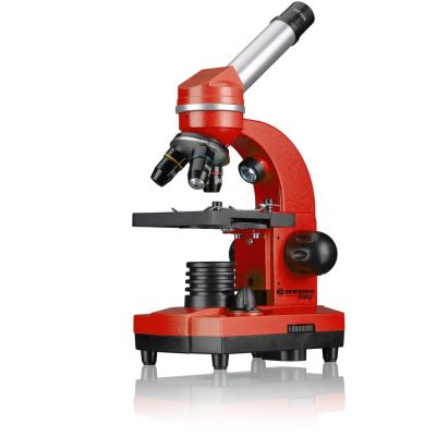 4. Bresser Optics JUNIOR BIOLUX SEL 1600x Optisches Mikroskop