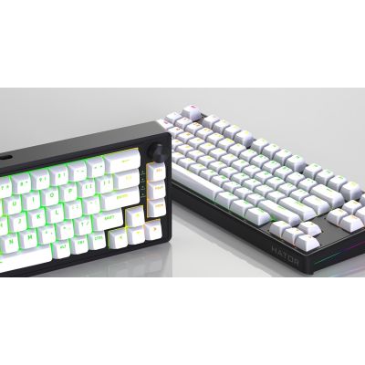 19. HATOR Skyfall 65 MAG ULTRA 8K Gaming-Tastatur USB QWERTY US Englisch Schwarz, Weiß