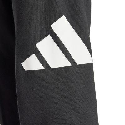 10. Adidas Essentials Big Logo French Terry M IN6163 Hose