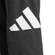 10. Adidas Essentials Big Logo French Terry M IN6163 Hose