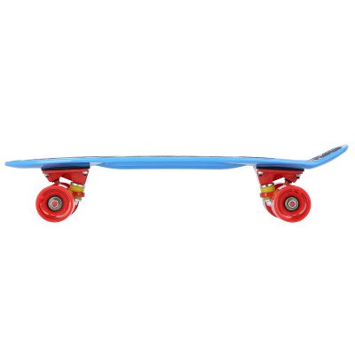 43. Pennyboard Nils Extreme Crude Dragon Skateboards