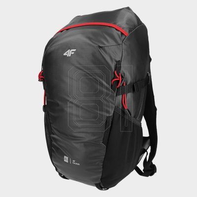 2. Tourist backpack, hiking 4F 4FSS23ABACU139 21S