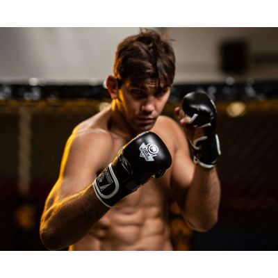 3. MMA-Sparringhandschuhe L - Phantom White - Valor Series