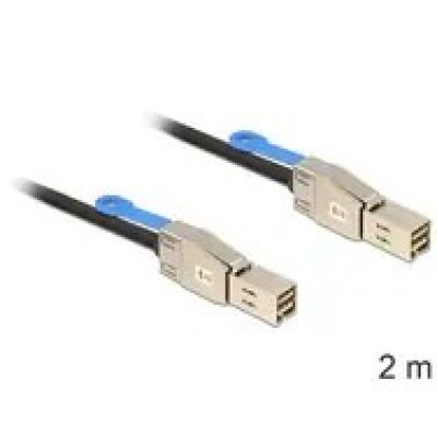 2. Delock SAS-Außenkabel – 2 m