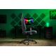 6. Razer Iskur V2 X Gaming-Stuhl Schwarz, Grün