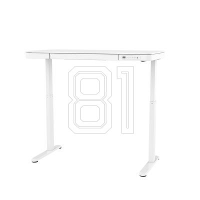 16. Urevo Spacewalk 3S treadmill + Tuckano URTM024+BIUBI electrically adjustable desk