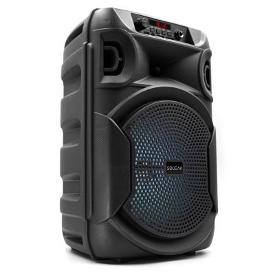 4. SQUEAK KARAOKE LAUTSPRECHER PULSETOWER BLUETOOTH 5.3, FM-RADIO, MICROSD, AUX, USB SQ1006