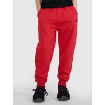 Jungen Jogginghose 4F 4FJWSS25TTROM1112-62S