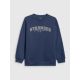 7. Lockerer Jungen-Sweatshirt ohne Kapuze 4F 4FJRSS26TSWSM2635-31S