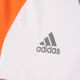 2. Adidas Assita 17 Jr AZ5402 sweatshirt
