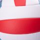 2. PALMIS II Ball