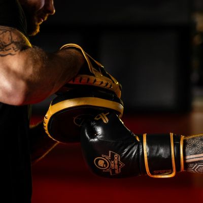 16. Mehrschichtige Boxhandschuhe - ProFighter Gold - Legacy Series