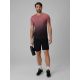 Herren-Schnelltrocknende Trainingsshorts 4F 4FRSS26TFSHM1859-20S