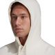 6. Adidas Big Logo Hoody FT HD M HE1846 Sweatshirt