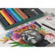 4. Faber-Castell Polychromos & Pitt Graphit Matt Set Multicolor 48 pcs.