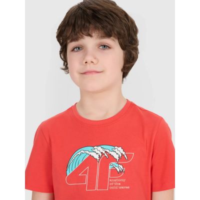 4. T-Shirt 4F Jr 4FJWSS25TTSHM1917-63S