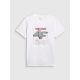 7. Herren-T-Shirt mit Aufdruck, regulär, Größe 4F 4FRAW25TTSHM3612-10S