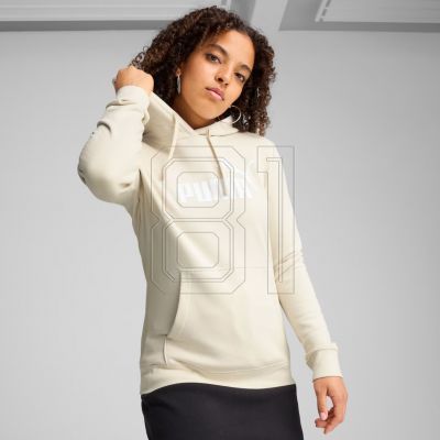3. Puma ESS No. 1 Logo Hoodie W 682391 87