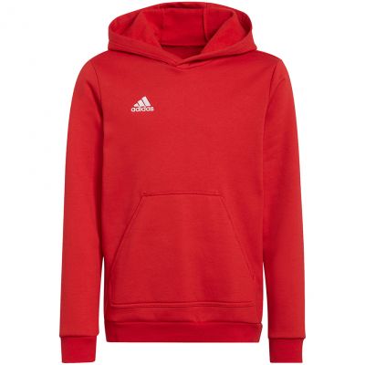 Adidas Entrada 22 Hoody Jr Sweatshirt H57566