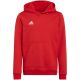 Adidas Entrada 22 Hoody Jr Sweatshirt H57566