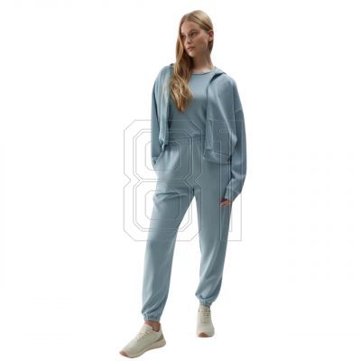 3. Sweatshirt 4F F1002 W 4FWSS24TSWSF1002 34S