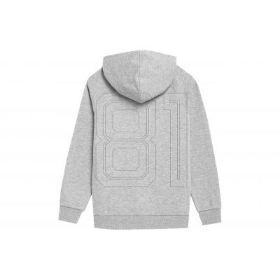 3. 4F Jr Sweatshirt 4FJSS23TSWSM220 kühles Hellgrau