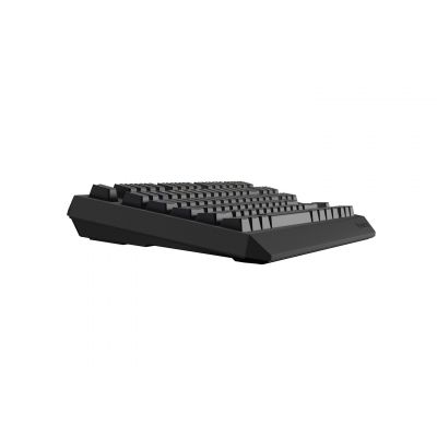 17. GENESIS Thor 230 TKL Gaming-Tastatur USB + RF Wireless + Bluetooth QWERTY Grau