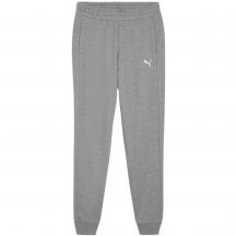 Puma Team Goal Casuals Pants W 658604 33