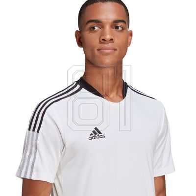 21. adidas Tiro 21 Trainingstrikot M GM7590