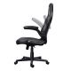 4. TRUST GXT703 RIYE GAMING CHAIR SCHWARZ Gamingstuhl (25128)