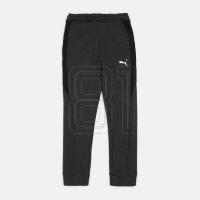 11. Puma Jr. Hose 580732 04