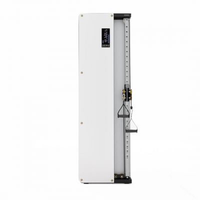 5. HMS BSP301 pneumatisches wandmontiertes Trainingstor