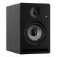 Prodipe Pro5 V4 2-Wege Schwarz Kabelgebunden 75W
