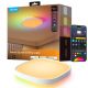 3. Govee 30cm RGBWW + RGBIC Smart Wi-Fi/Bluetooth Deckenleuchte 28W