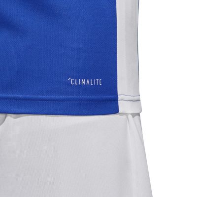 4. adidas Entrada 18 CF1037 Fußballtrikot