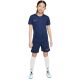 11. Nike Dri Fit Academy 25 Jr Shorts FZ9784 410