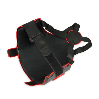 5. DBX Guardian Pro Torso- und Oberschenkelprotektoren-Set