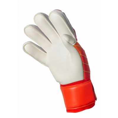 2. Select 34 Protection v24 T26-18453 Torwarthandschuhe